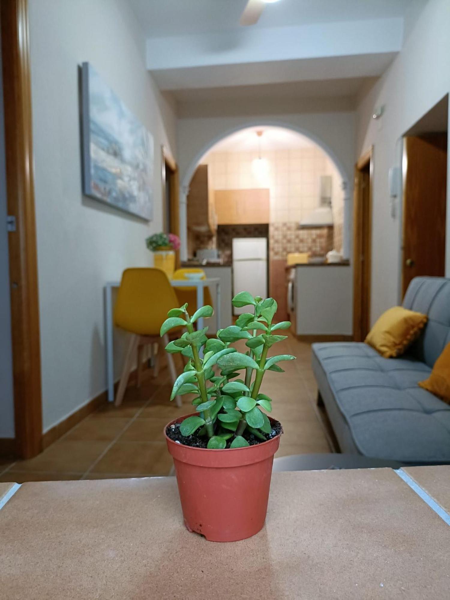 Casa Amalfi, Coqueta Casa Centro Historico De Vejer Apartment Vejer de la Frontera Bagian luar foto